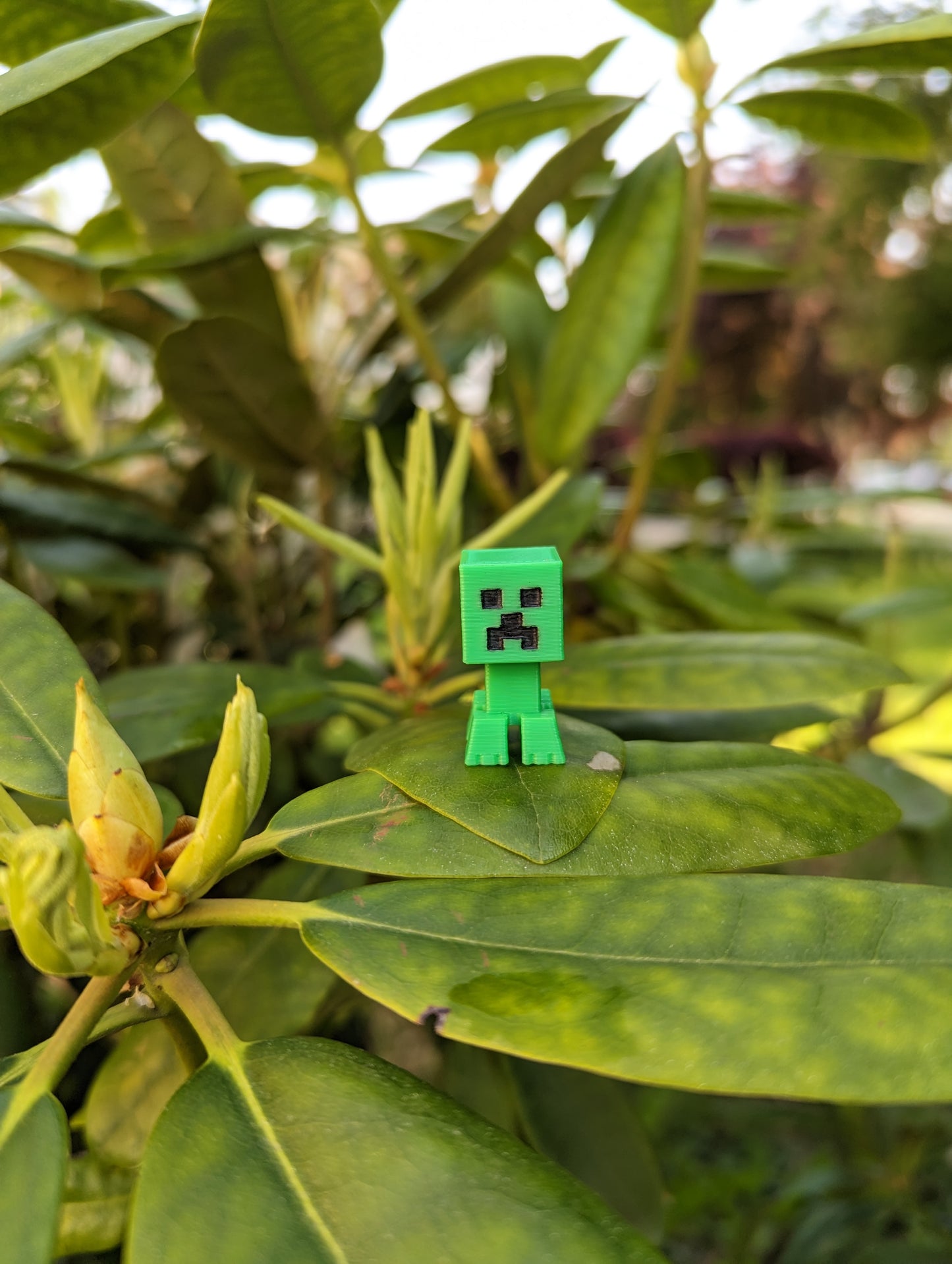 Mini Creeper