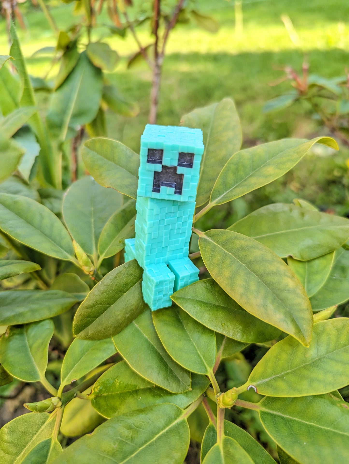 Large Creeper