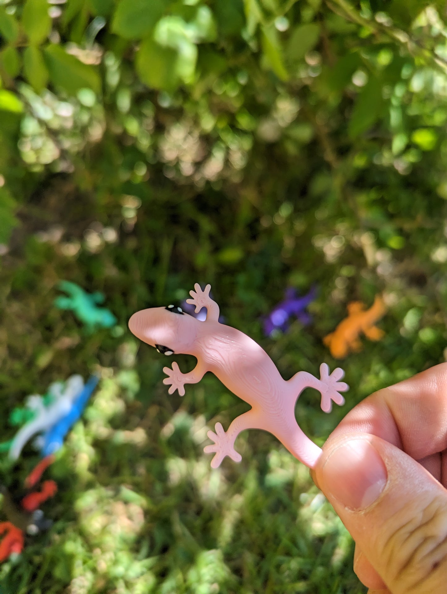 Magnet Geckos!